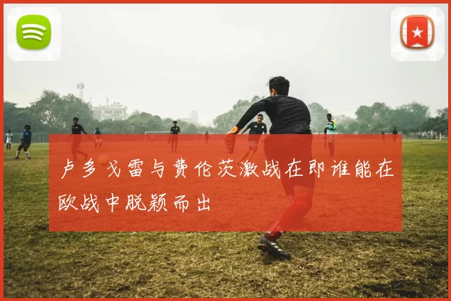 卢多戈雷与费伦茨激战在即谁能在欧战中脱颖而出