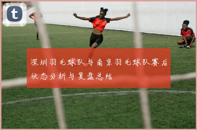 深圳羽毛球队与南京羽毛球队赛后状态分析与复盘总结