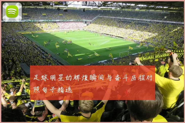 足球明星的辉煌瞬间与奋斗历程对照句子精选