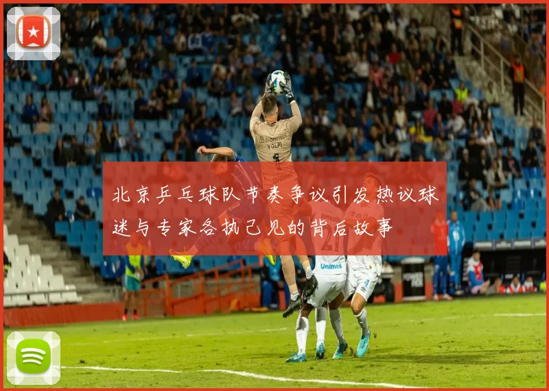 北京乒乓球队节奏争议引发热议球迷与专家各执己见的背后故事