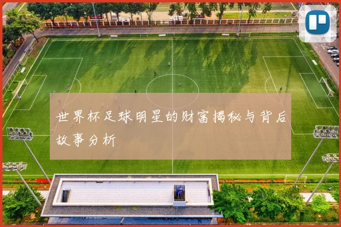 世界杯足球明星的财富揭秘与背后故事分析