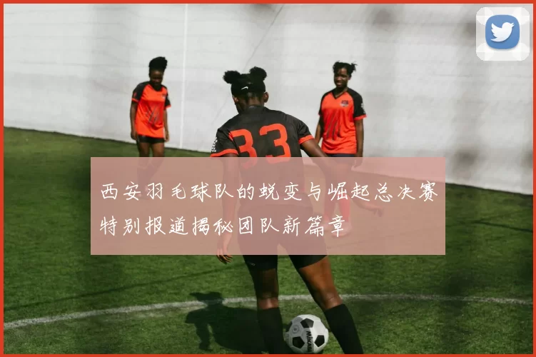 西安羽毛球队的蜕变与崛起总决赛特别报道揭秘团队新篇章