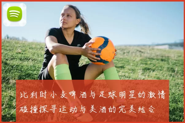 比利时小麦啤酒与足球明星的激情碰撞探寻运动与美酒的完美结合