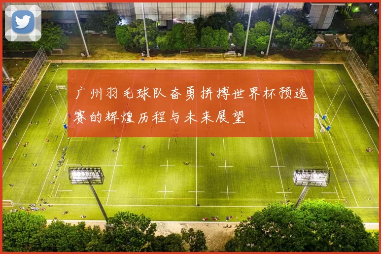 广州羽毛球队奋勇拼搏世界杯预选赛的辉煌历程与未来展望