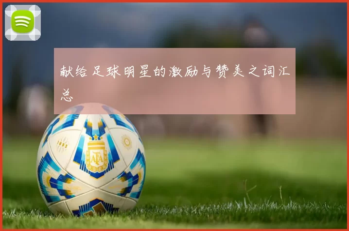 献给足球明星的激励与赞美之词汇总