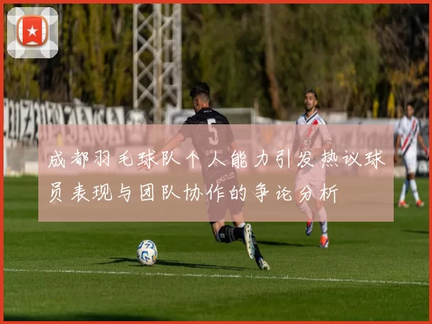 成都羽毛球队个人能力引发热议球员表现与团队协作的争论分析