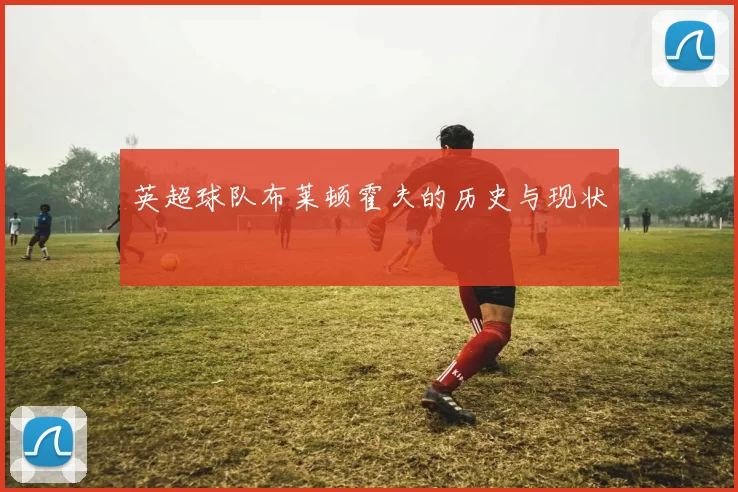 英超球队布莱顿霍夫的历史与现状