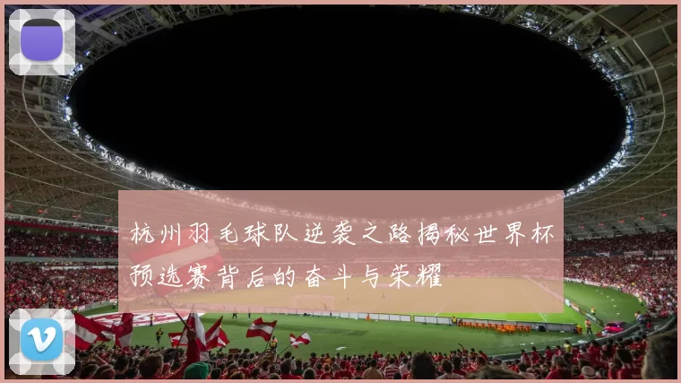 杭州羽毛球队逆袭之路揭秘世界杯预选赛背后的奋斗与荣耀