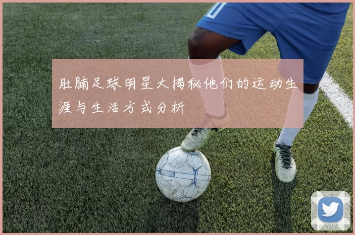 肚腩足球明星大揭秘他们的运动生涯与生活方式分析