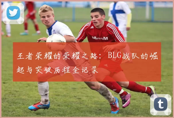 王者荣耀的荣耀之路：BLG战队的崛起与突破历程全记录