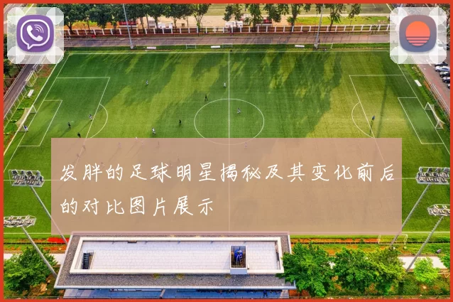 发胖的足球明星揭秘及其变化前后的对比图片展示