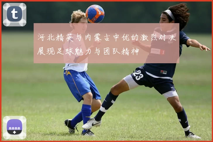 河北精英与内蒙古中优的激烈对决展现足球魅力与团队精神