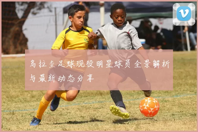 乌拉圭足球现役明星球员全景解析与最新动态分享