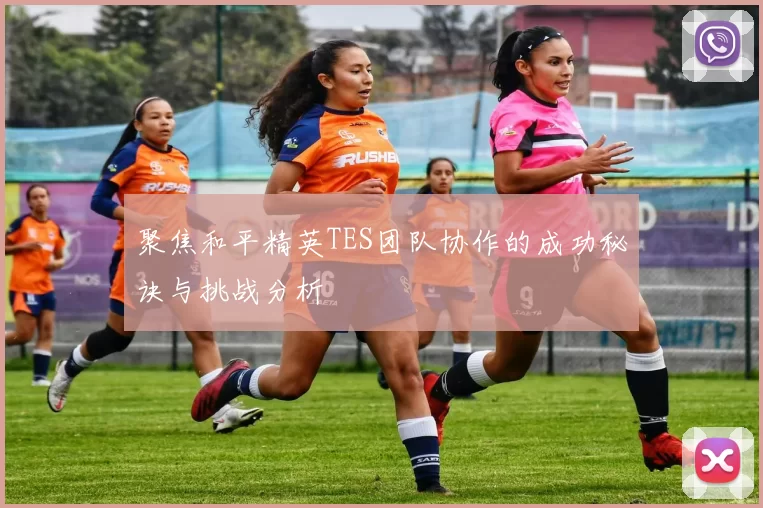 聚焦和平精英TES团队协作的成功秘诀与挑战分析