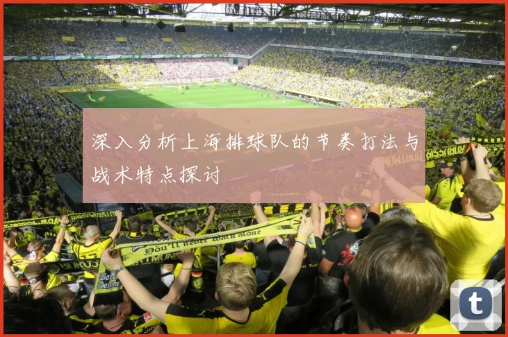 深入分析上海排球队的节奏打法与战术特点探讨