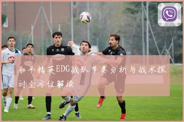 和平精英EDG战队节奏分析与战术探讨全方位解读