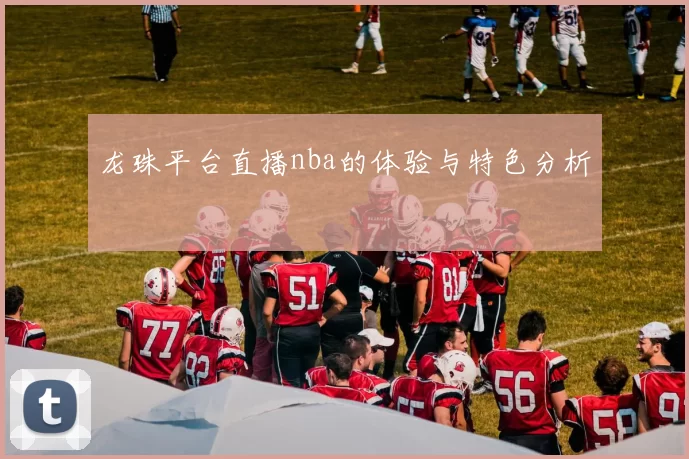 龙珠平台直播nba的体验与特色分析