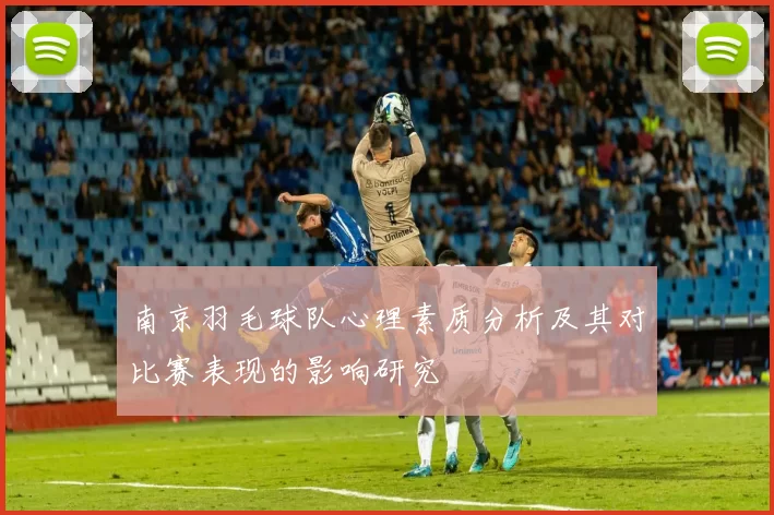 南京羽毛球队心理素质分析及其对比赛表现的影响研究