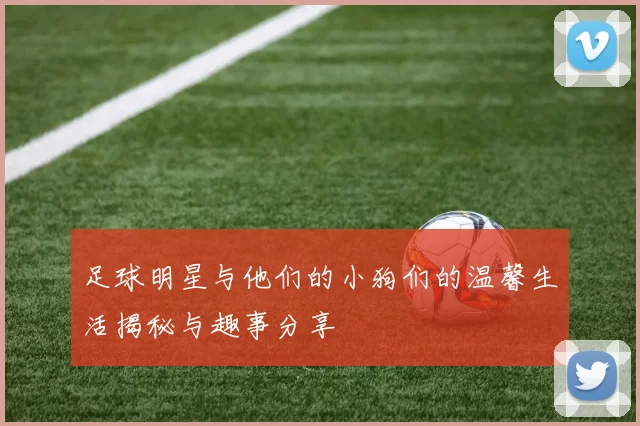 足球明星与他们的小狗们的温馨生活揭秘与趣事分享