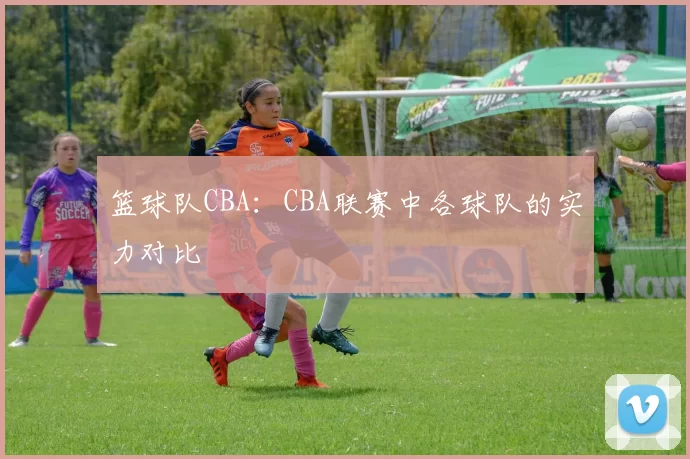 篮球队CBA：CBA联赛中各球队的实力对比