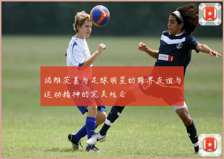 诺维茨基与足球明星的跨界友谊与运动精神的完美结合
