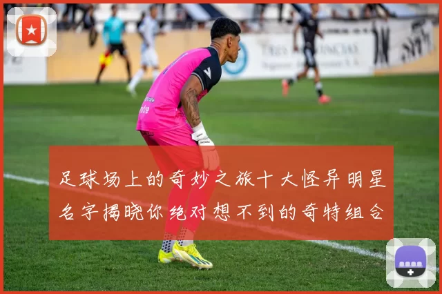足球场上的奇妙之旅十大怪异明星名字揭晓你绝对想不到的奇特组合