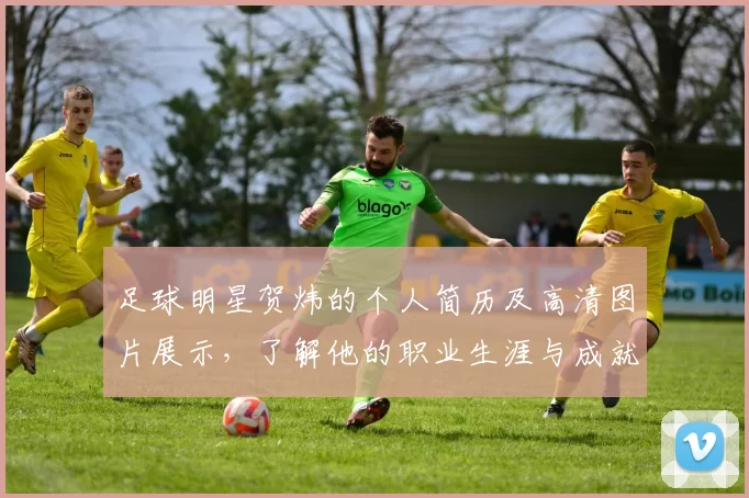 足球明星贺炜的个人简历及高清图片展示，了解他的职业生涯与成就