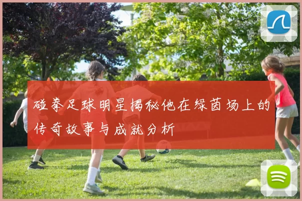 碰拳足球明星揭秘他在绿茵场上的传奇故事与成就分析