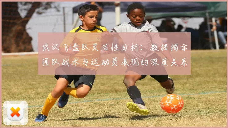 武汉飞盘队灵活性分析：数据揭示团队战术与运动员表现的深度关系