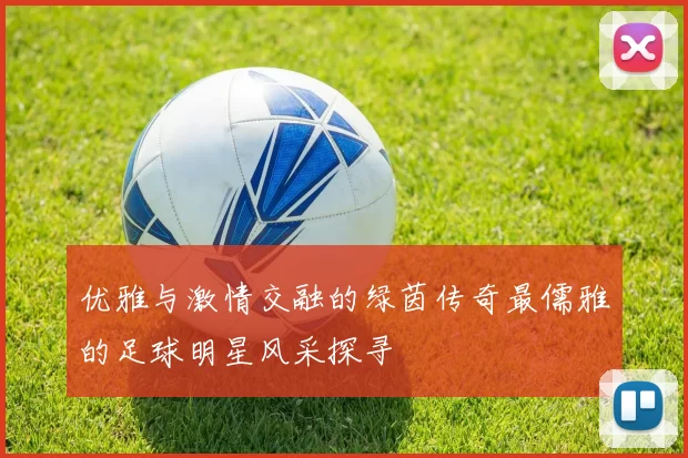 优雅与激情交融的绿茵传奇最儒雅的足球明星风采探寻