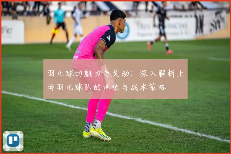羽毛球的魅力与灵动：深入解析上海羽毛球队的训练与战术策略