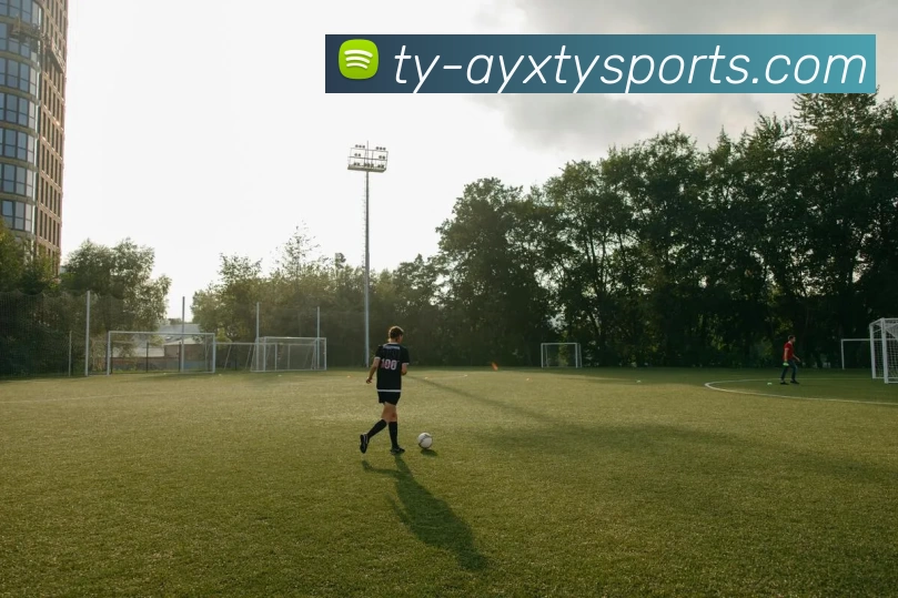 多媒体互动体验